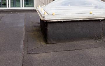disadvantages of Trelogan flat roofs