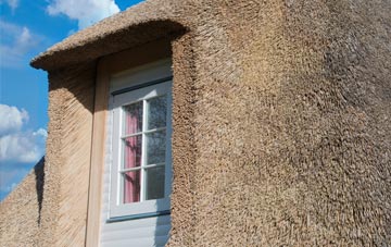 Trelogan thatch roof disadvantages